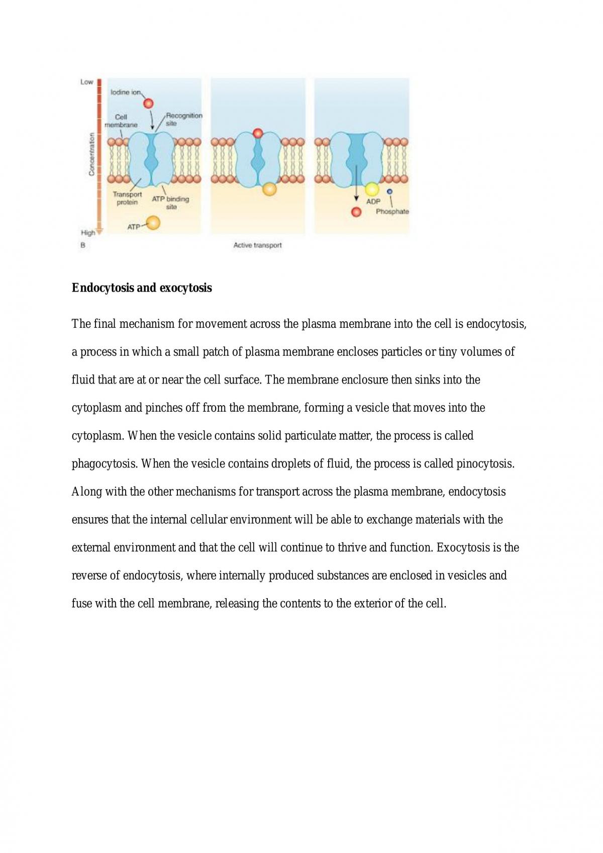 Biology Study Notes  - Page 21