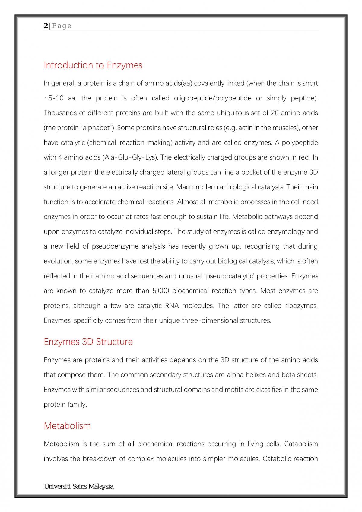 Enzymes as Proteins - Page 2