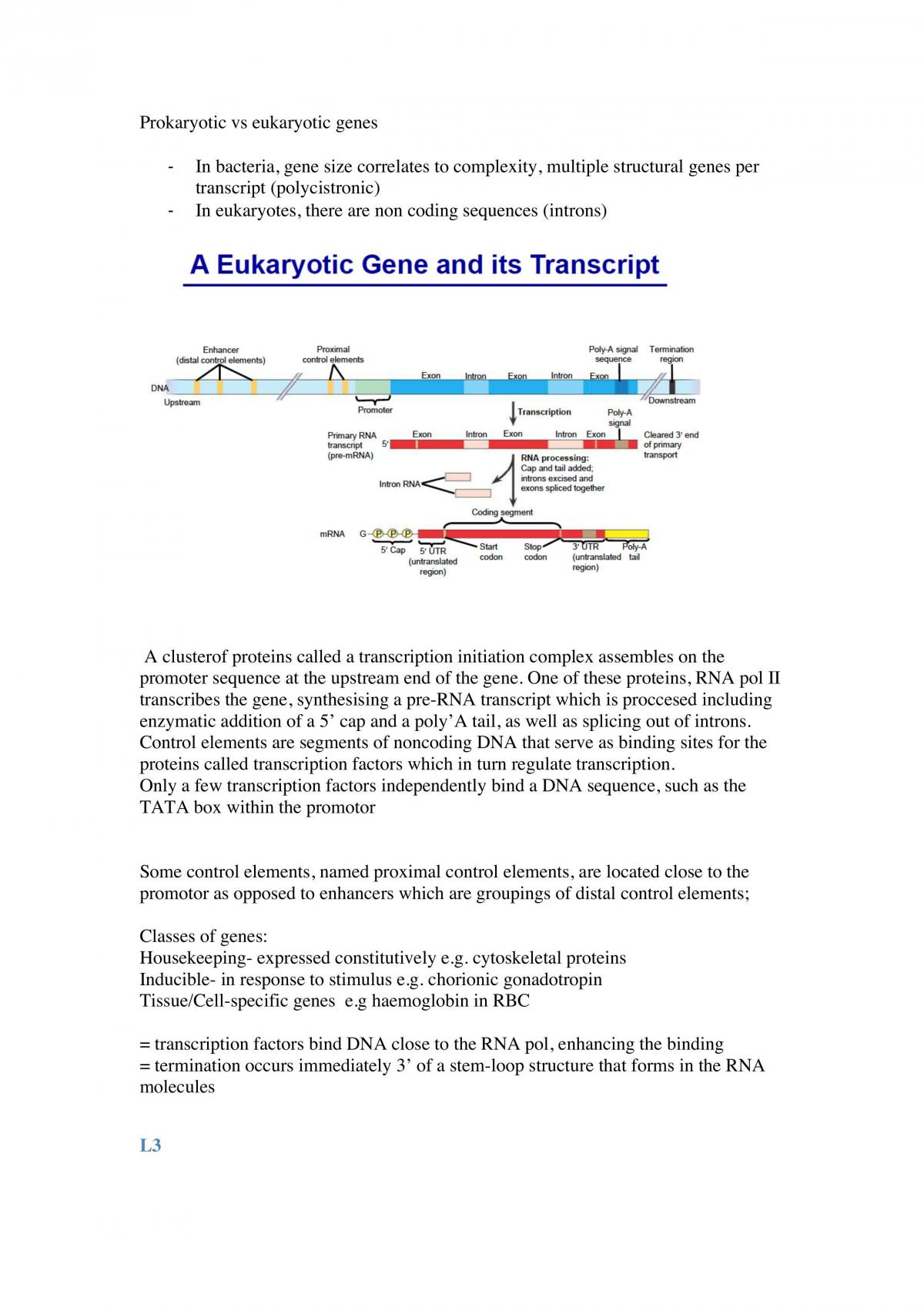 Exam Notes - Page 12