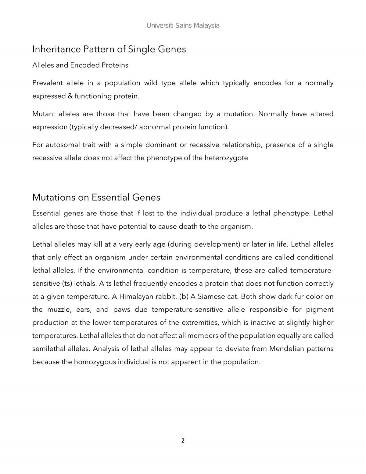 Inheritance Pattern - Page 2