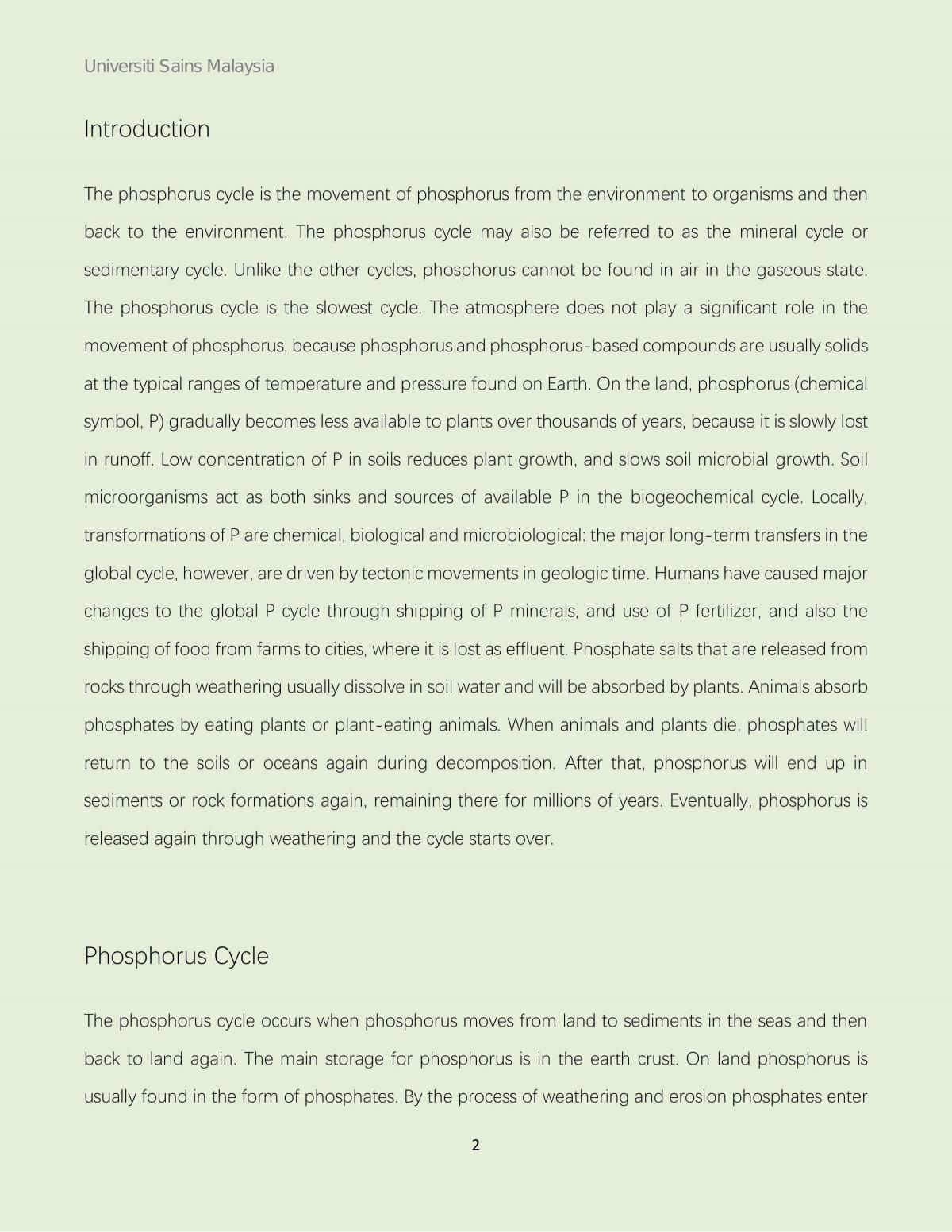 Phosphorus Cycle - Page 2