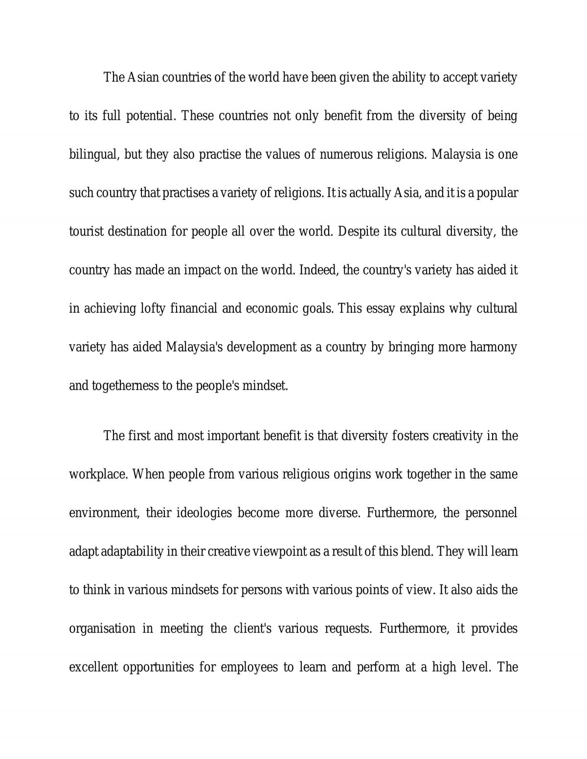 An embodiment of success with a multicultural environment essay  - Page 2