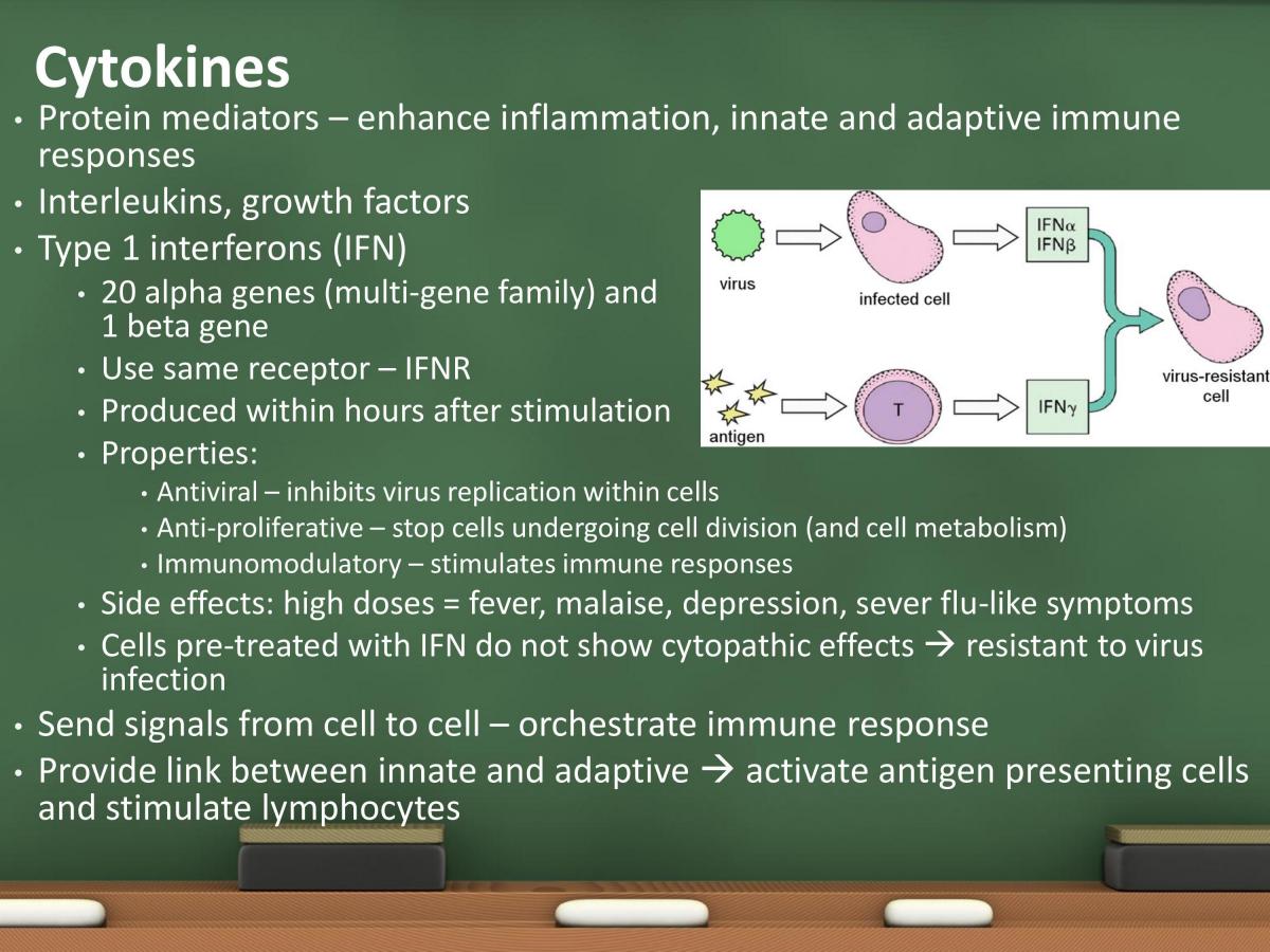 Immunology Study Notes - Page 38