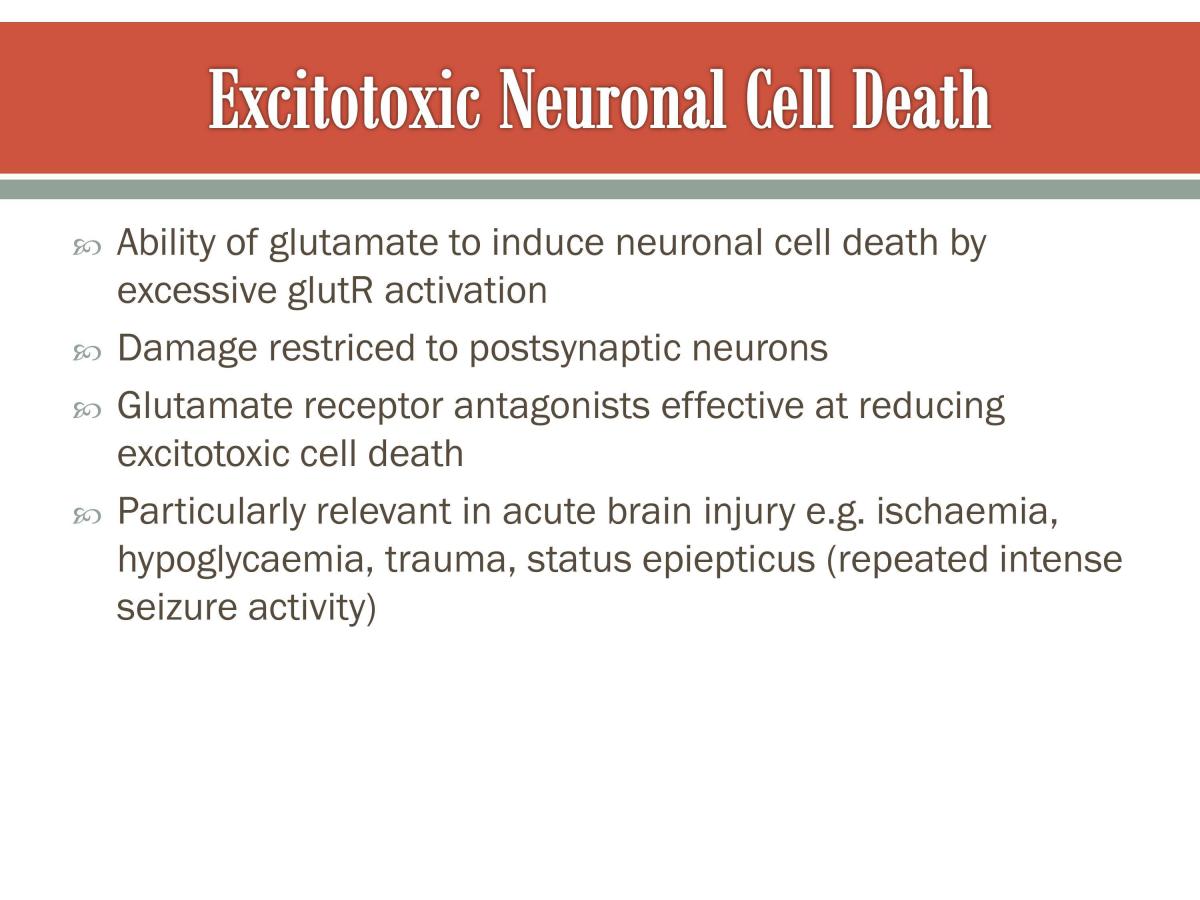 Neurology Summary - Page 99