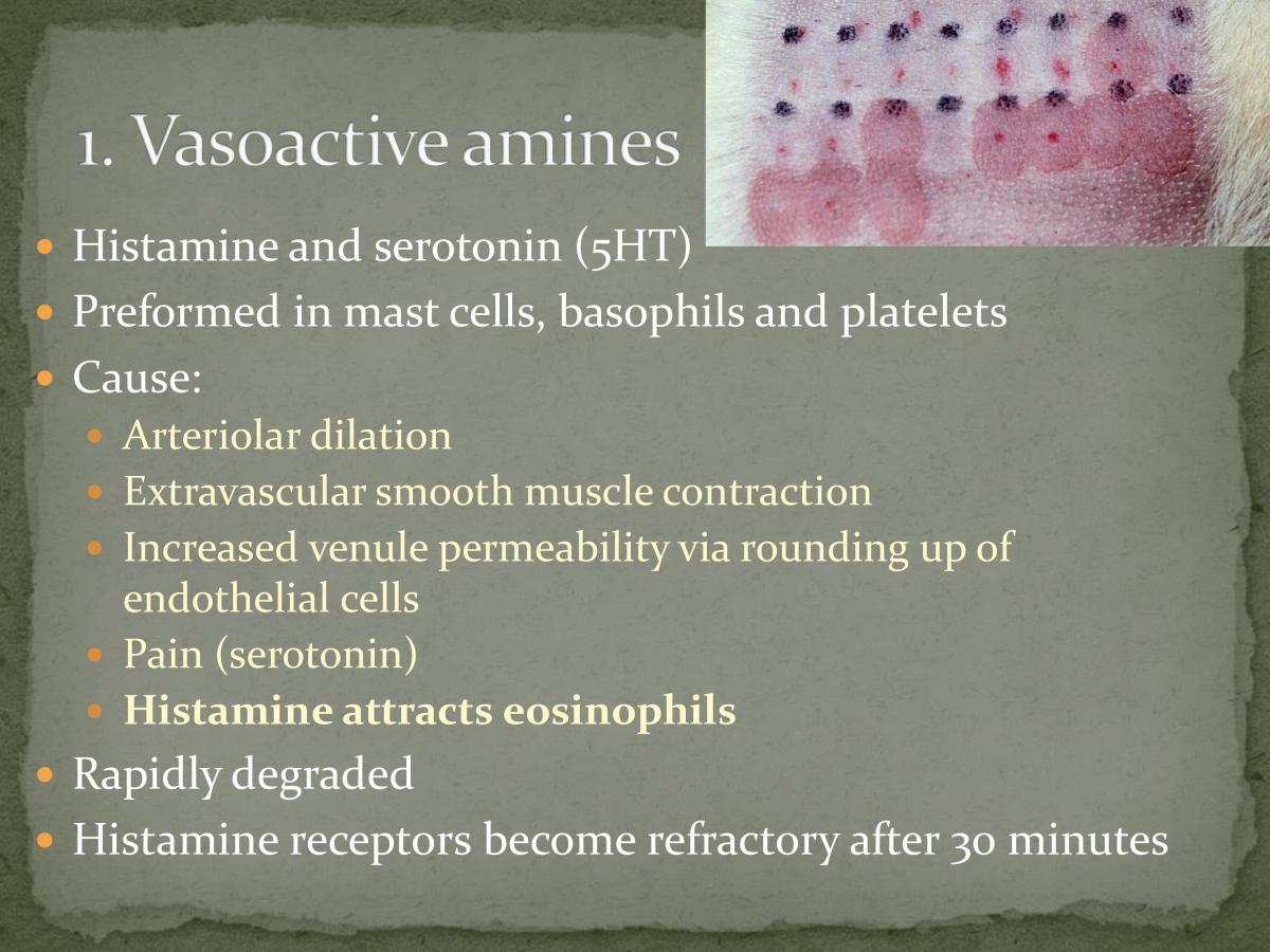 General Pathology Summary - Page 81
