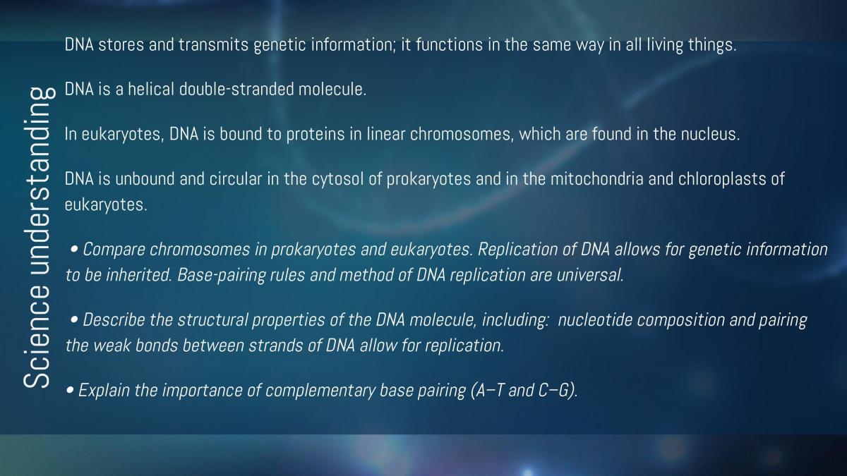 Topic 1 : DNA and Proteins - 1.1 DNA Structure and Function  - Page 2