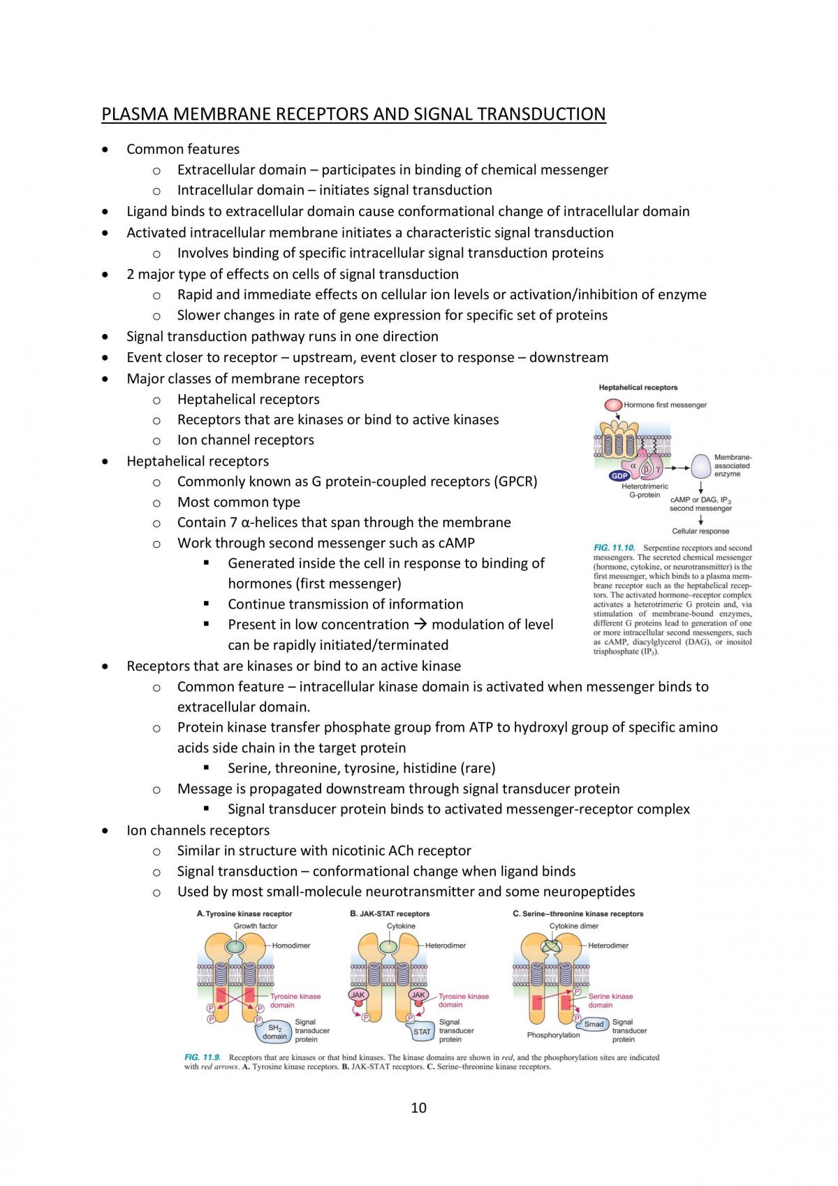 Endocrinology - Page 10