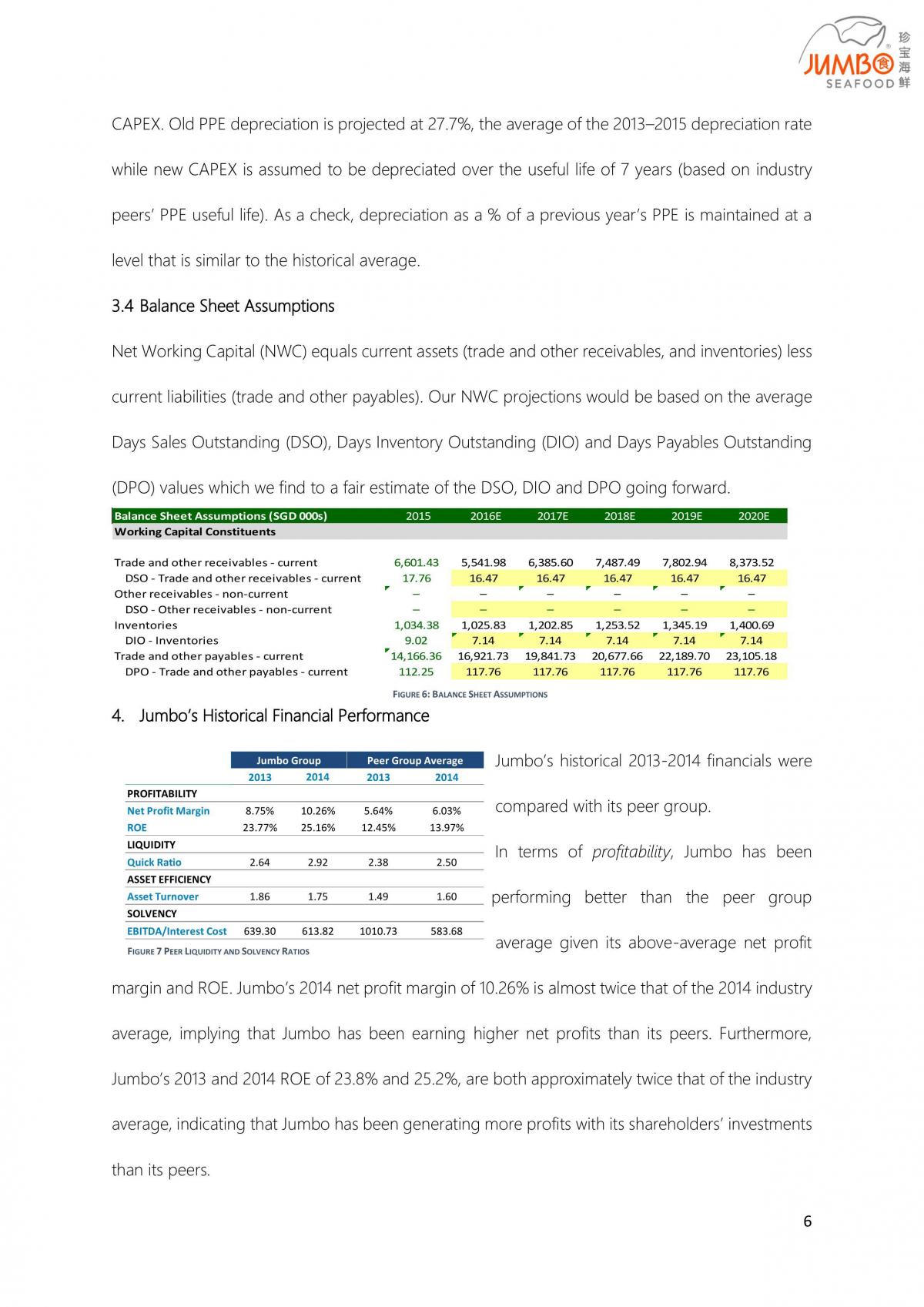 FIN3113 Jumbo Financial Statement analysis - Page 6