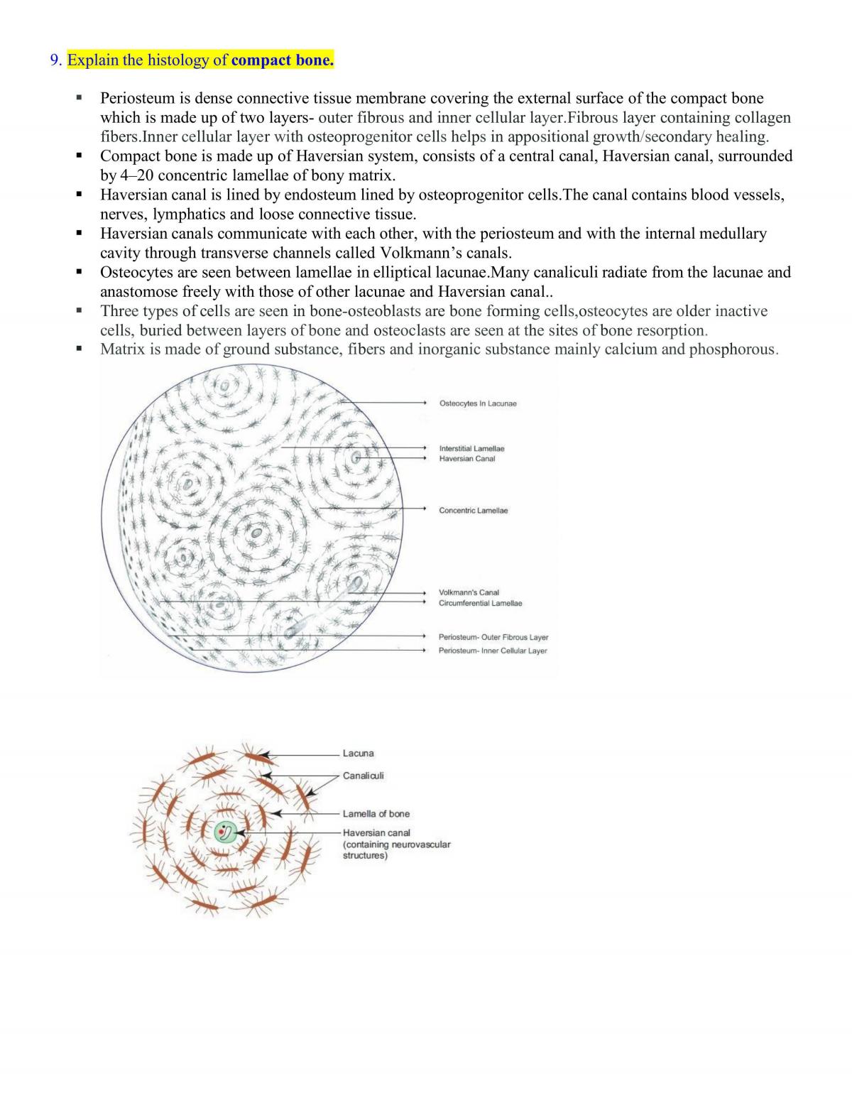 Anatomy Notes - Page 11