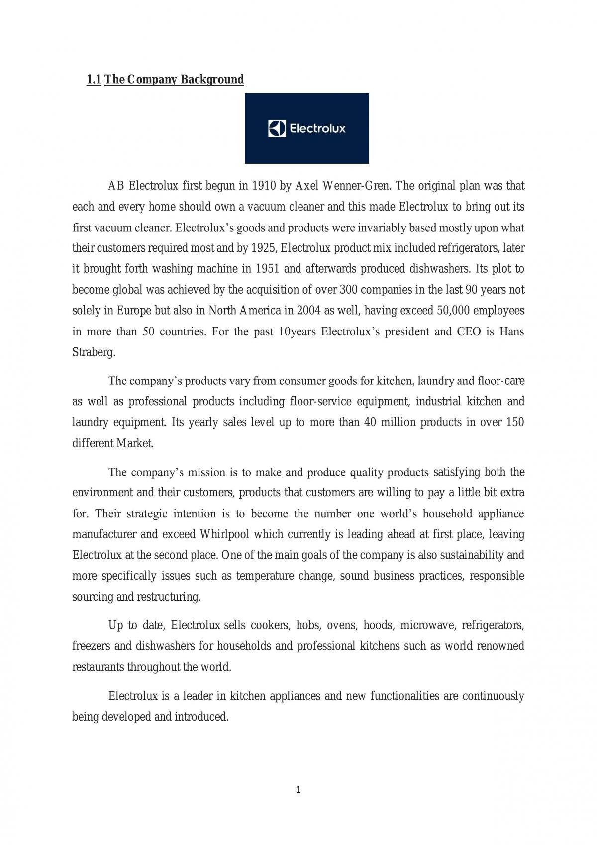 Project discussing Electrolux - Page 2