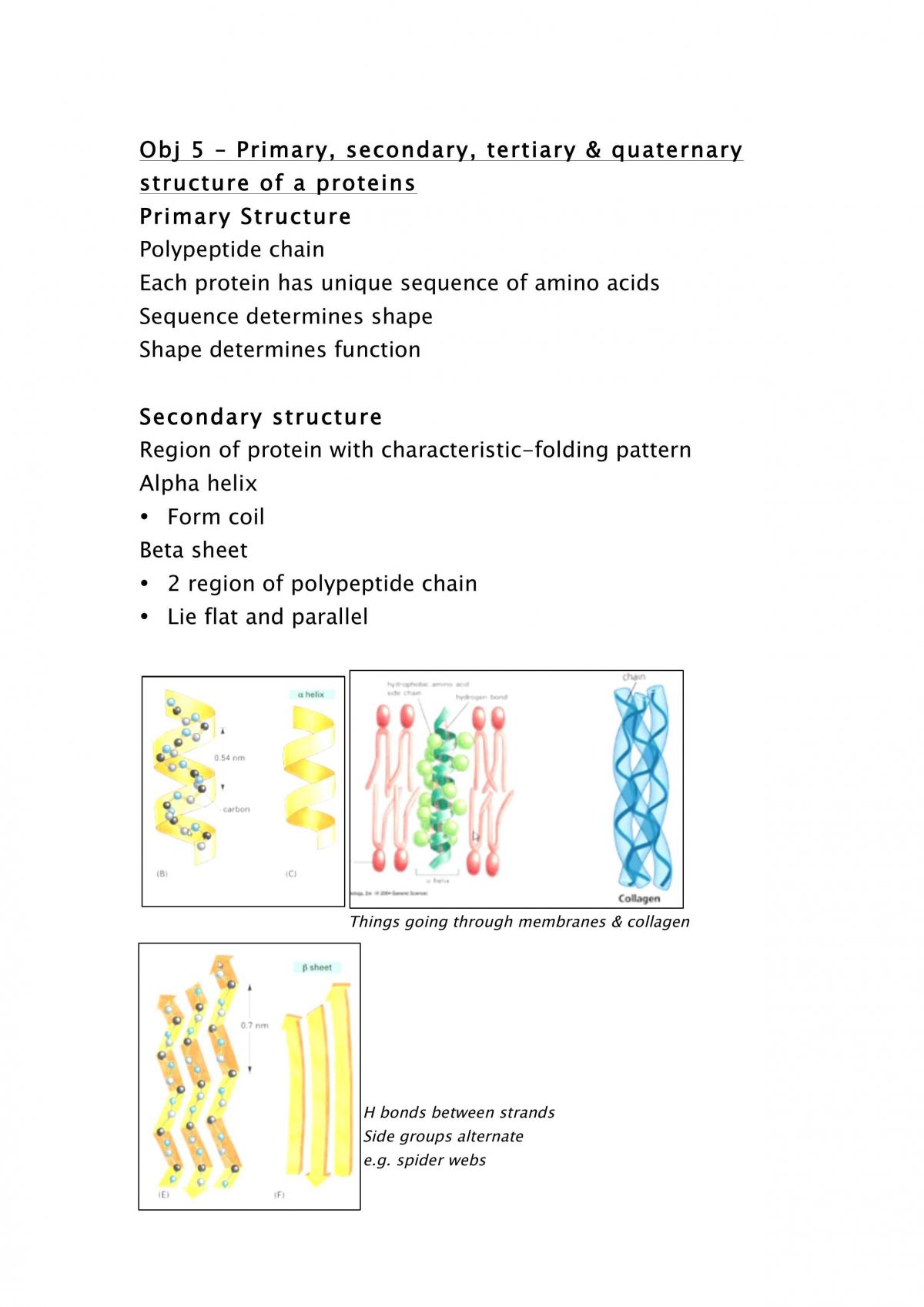 Biology of the Cell Study Notes - Page 21