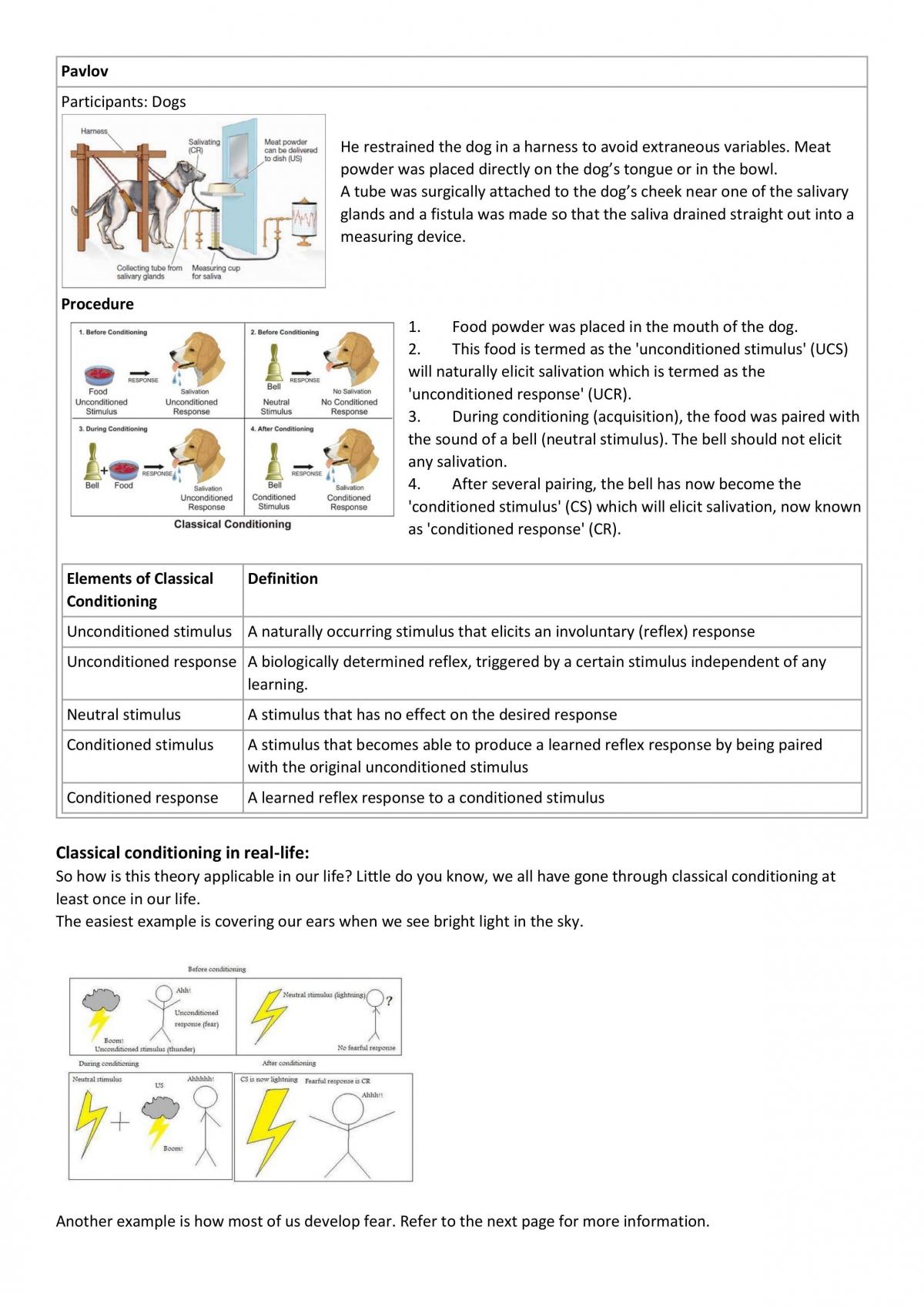Cognition notes - Page 11