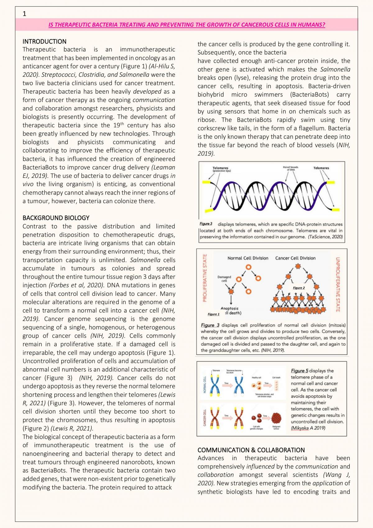 Microorganisms SHE Task - Page 2