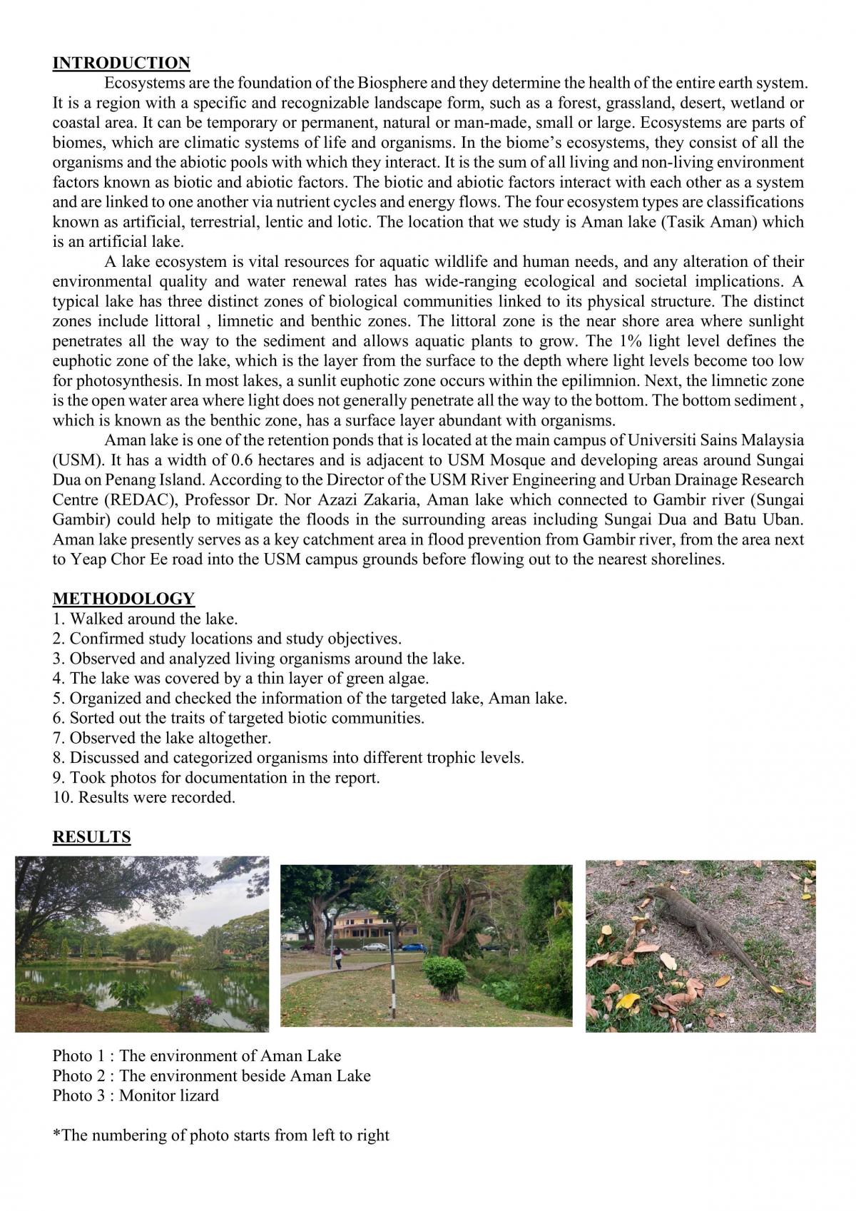 Lake Ecosystem - Page 2