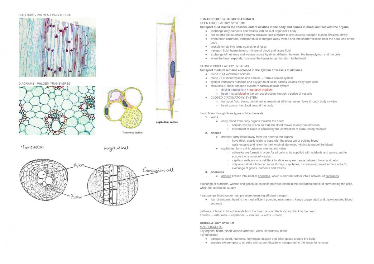 Prelims Biology Notes - Page 10