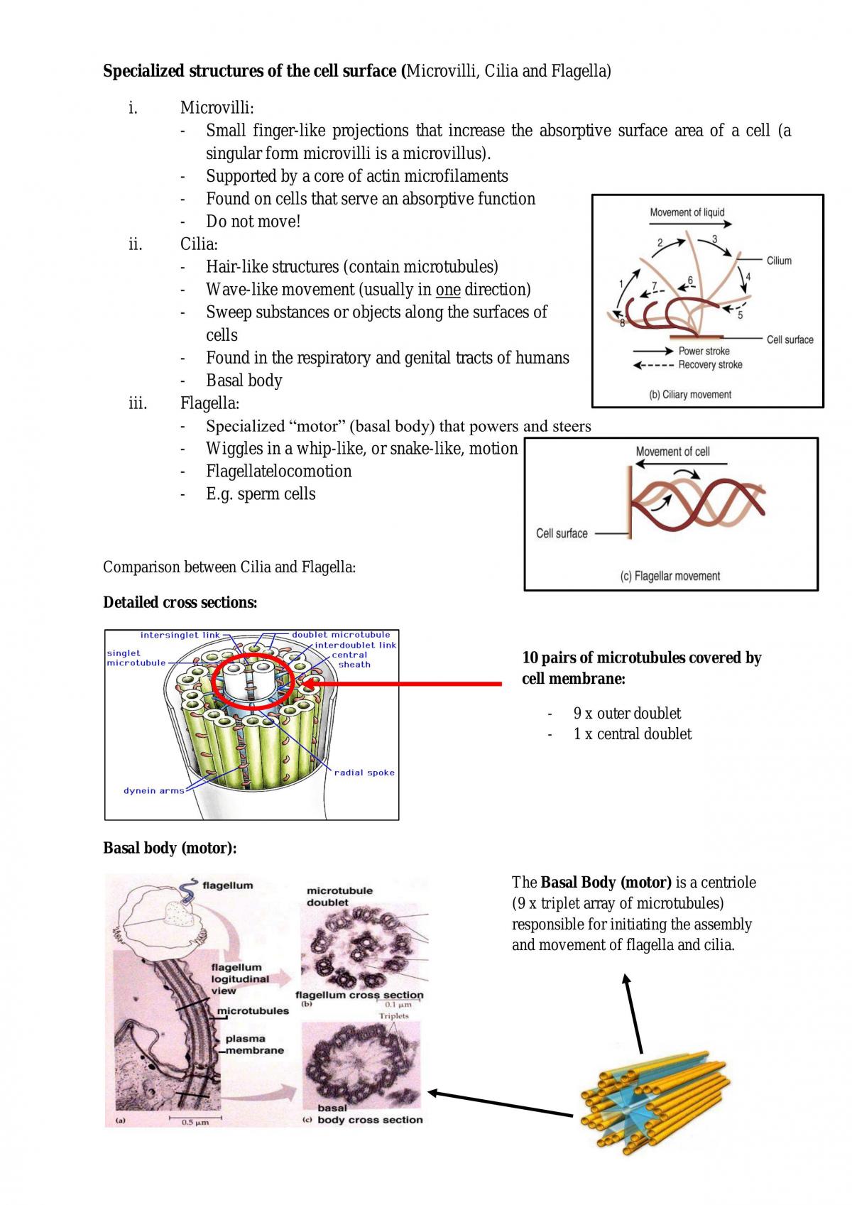 Revision Notes for Biological Systems - Page 14