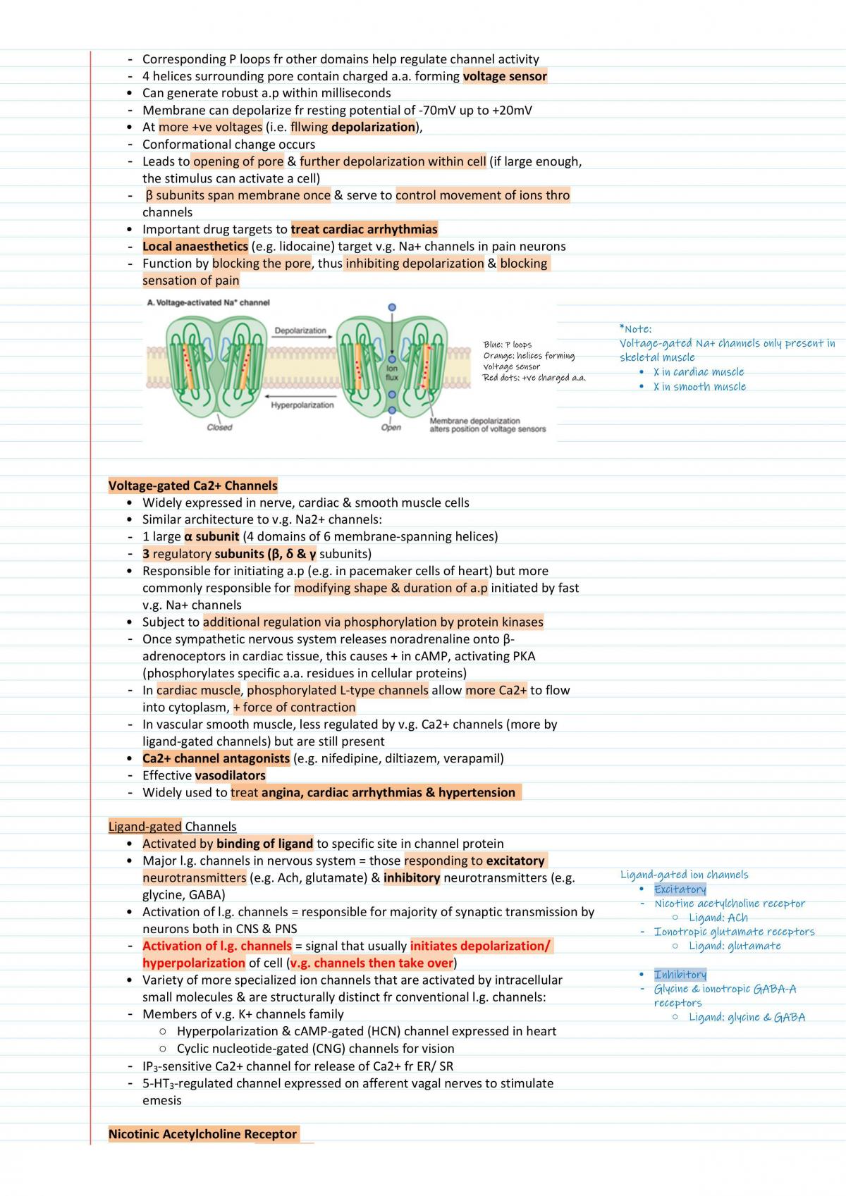 PHR1022 Pharmacology Notes - Page 38