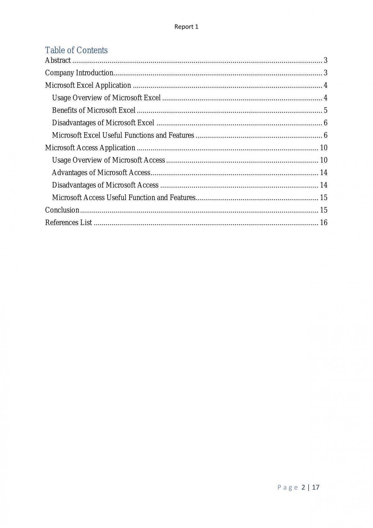 IT strategy report 1 - Page 2