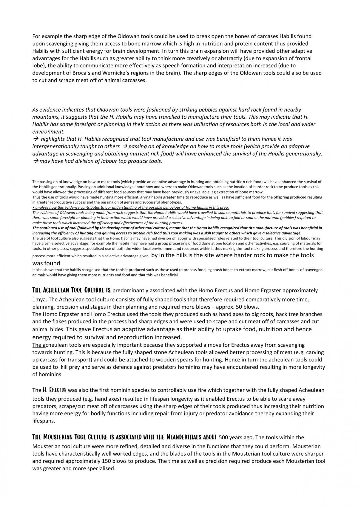 Human Evolution - Page 12
