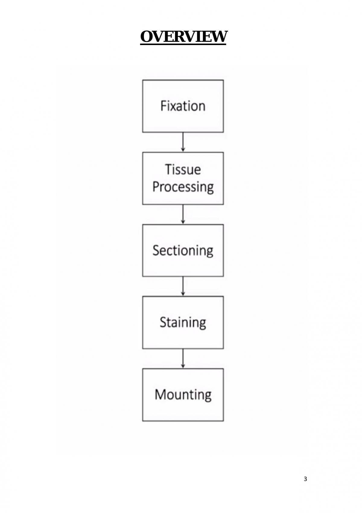 Histological Techniques Liver Cancer - Page 3
