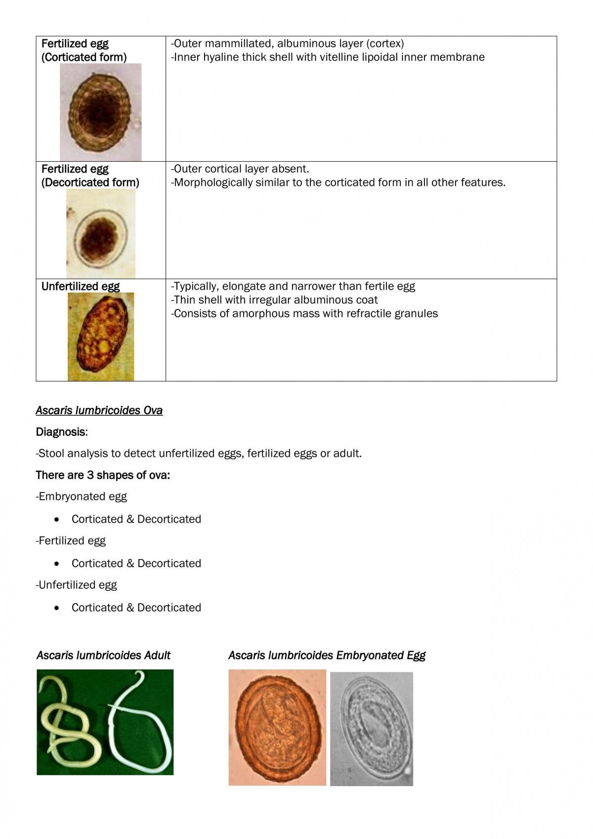 Giardiasis & Ascariasis - Page 10