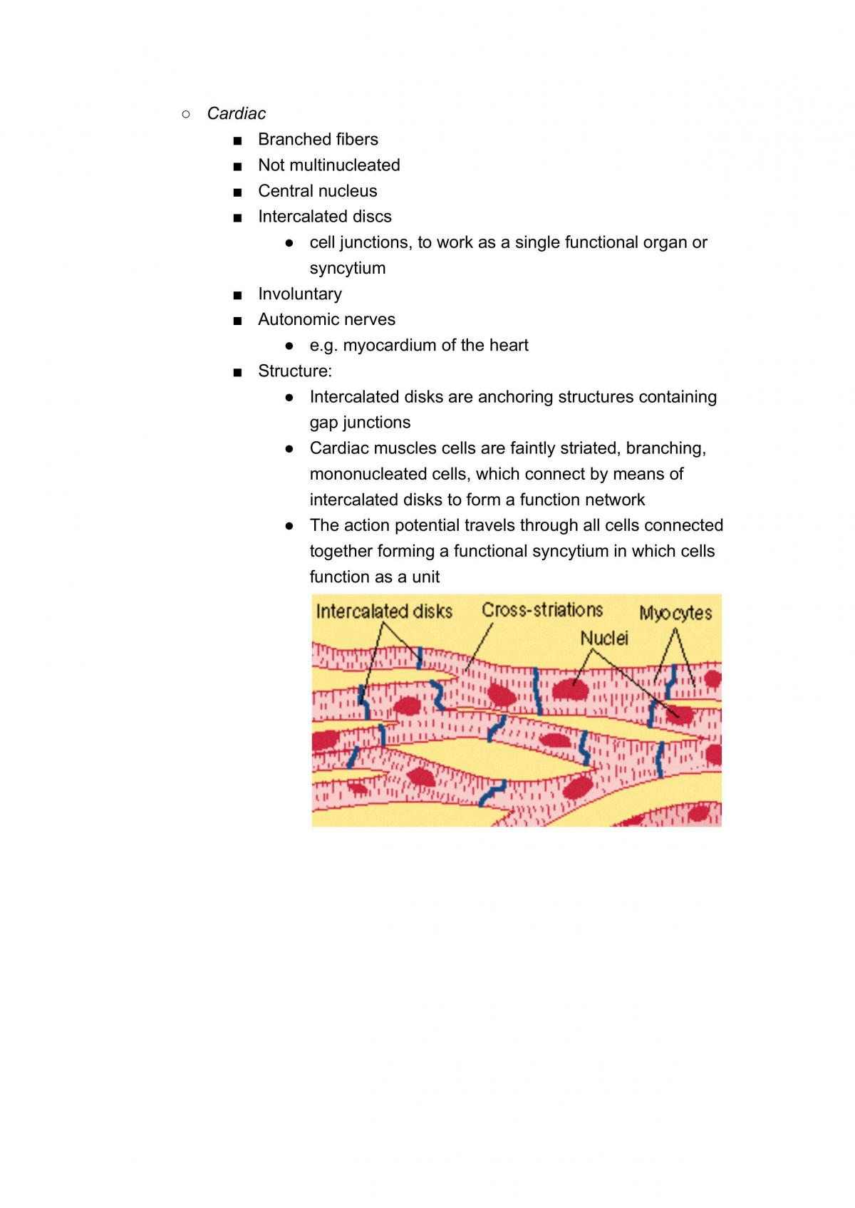 General Anatomy Study Notes - Page 13