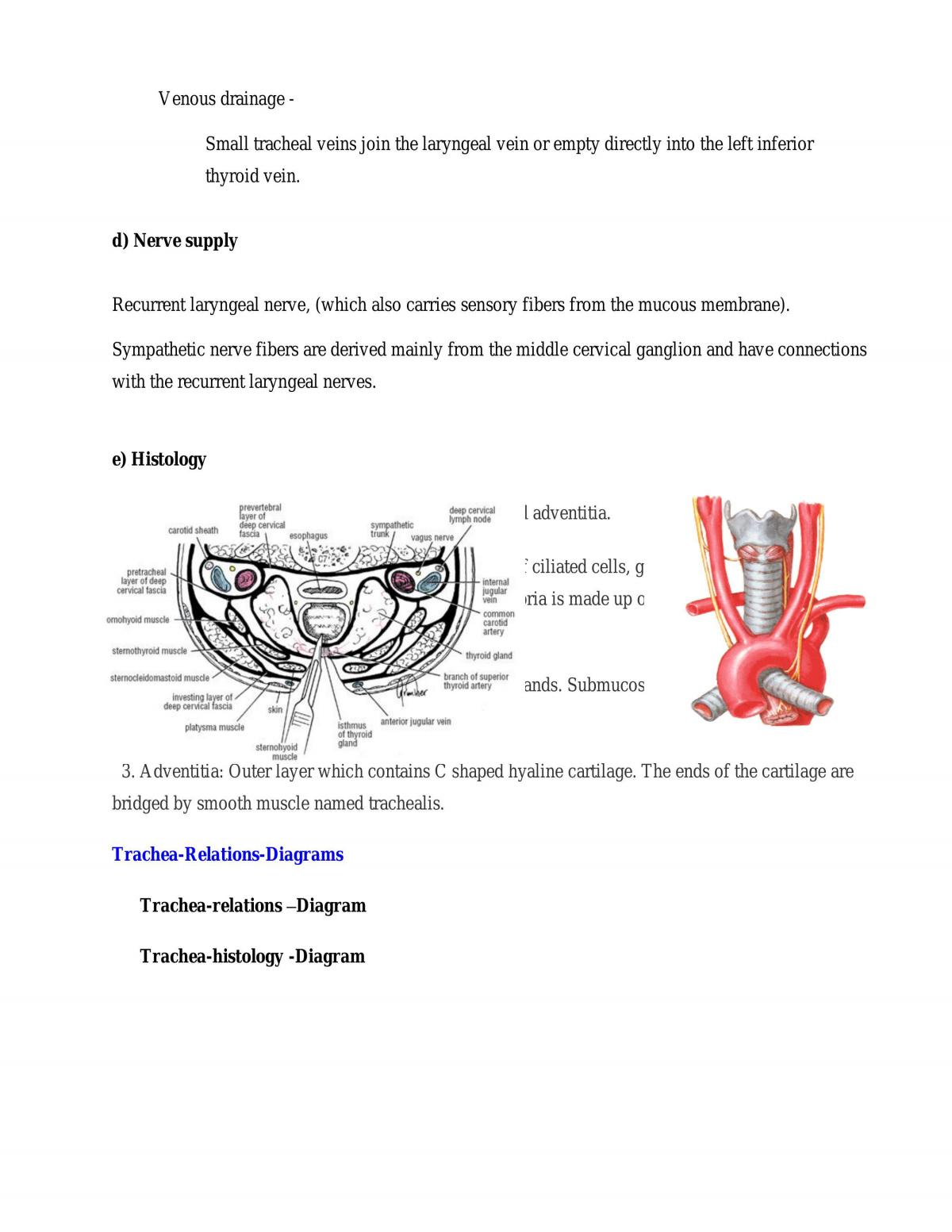Anatomy of Respiratory System - Page 15