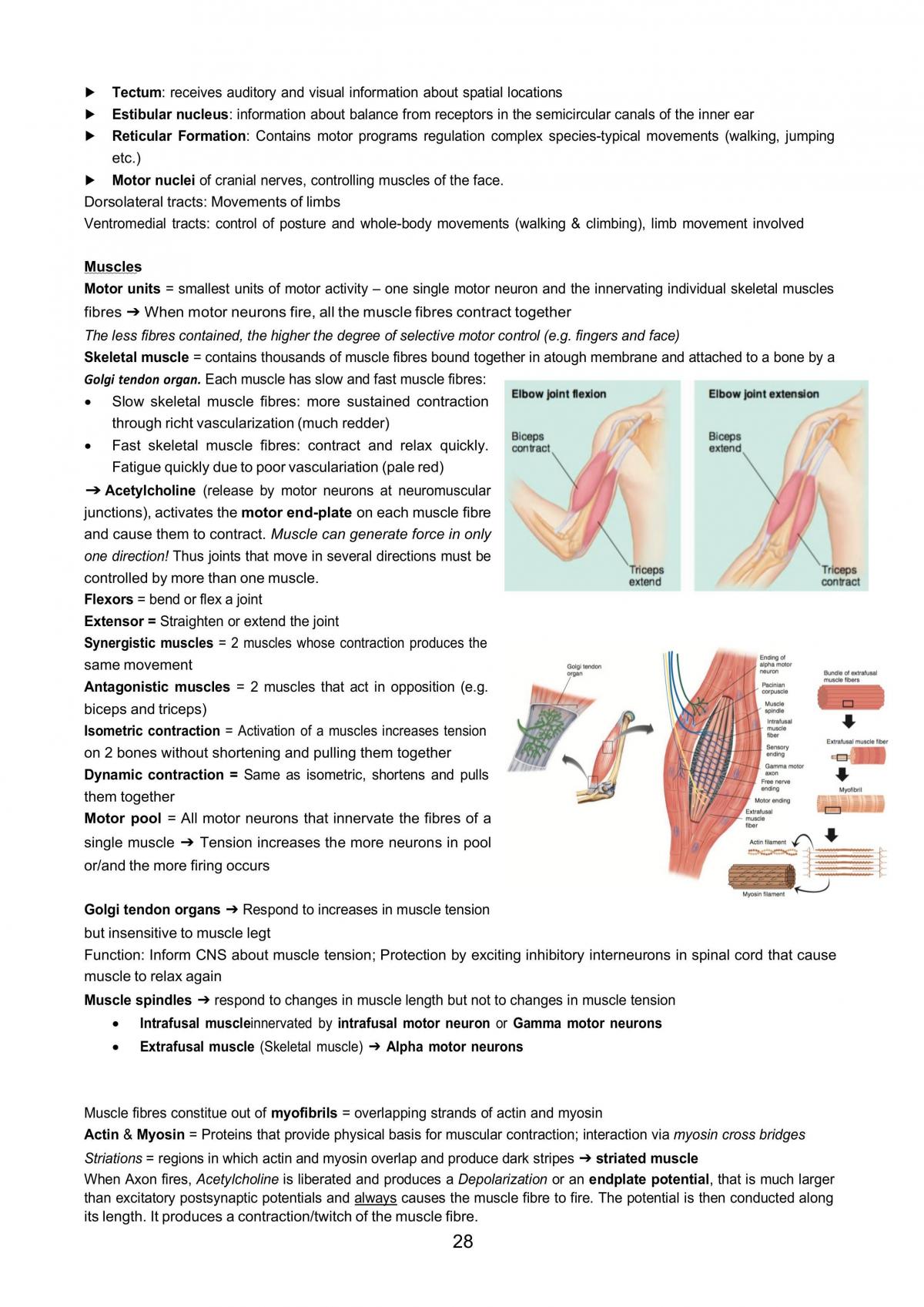 Genes and Behaviour Summary - Page 29