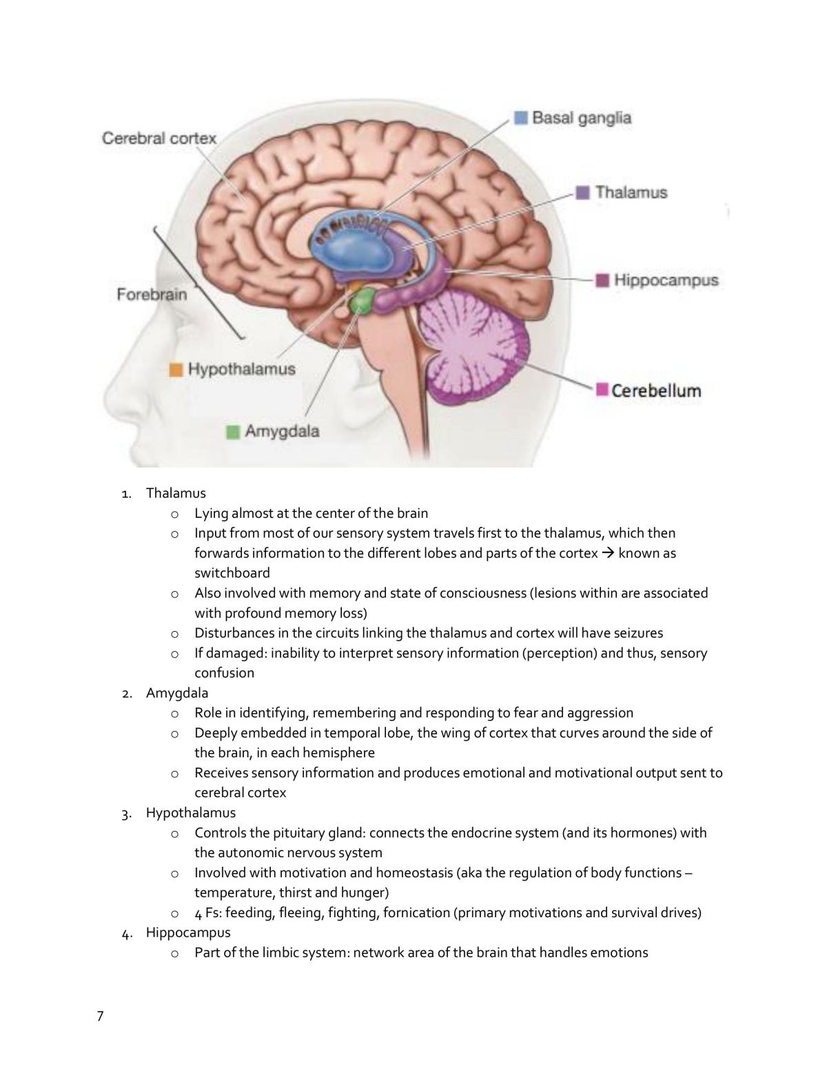 PL1101E Notes - Page 7