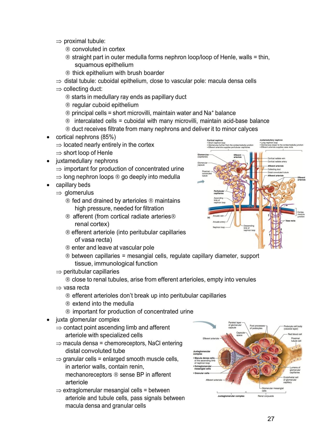 PLN 203 Notes - Page 27