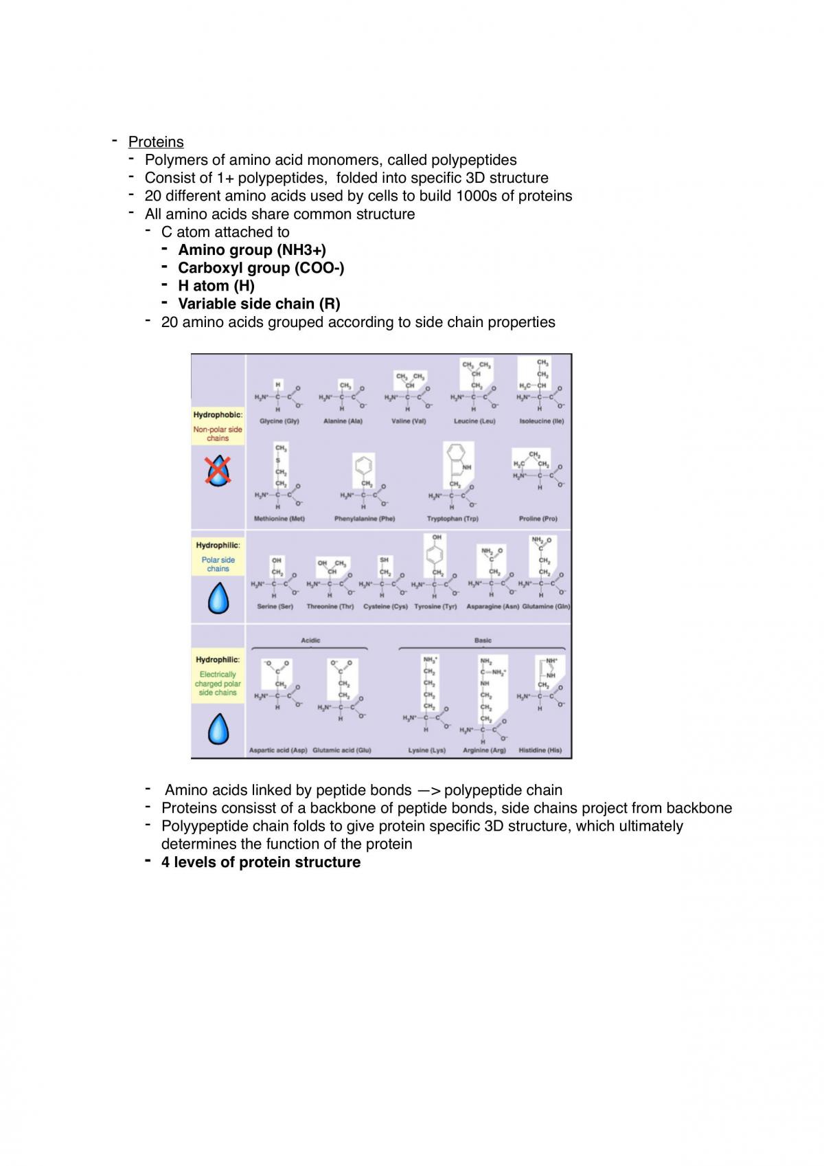 Session 1 Notes for BABS1201 - Page 13