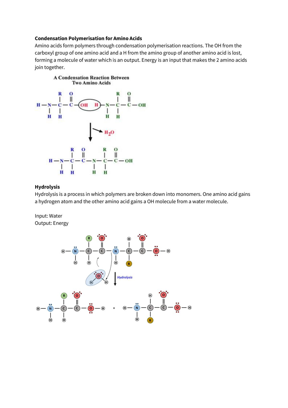 Biology Unit 3 + 4 Study Notes - Page 44