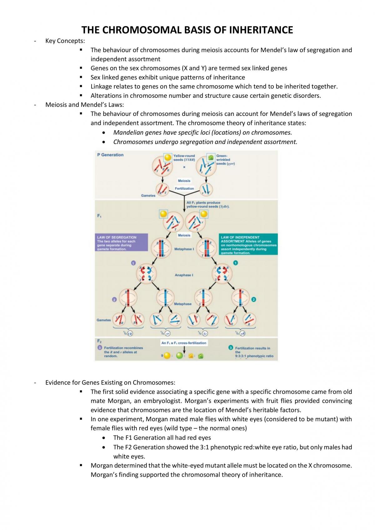 Genetics & Disease - Page 26