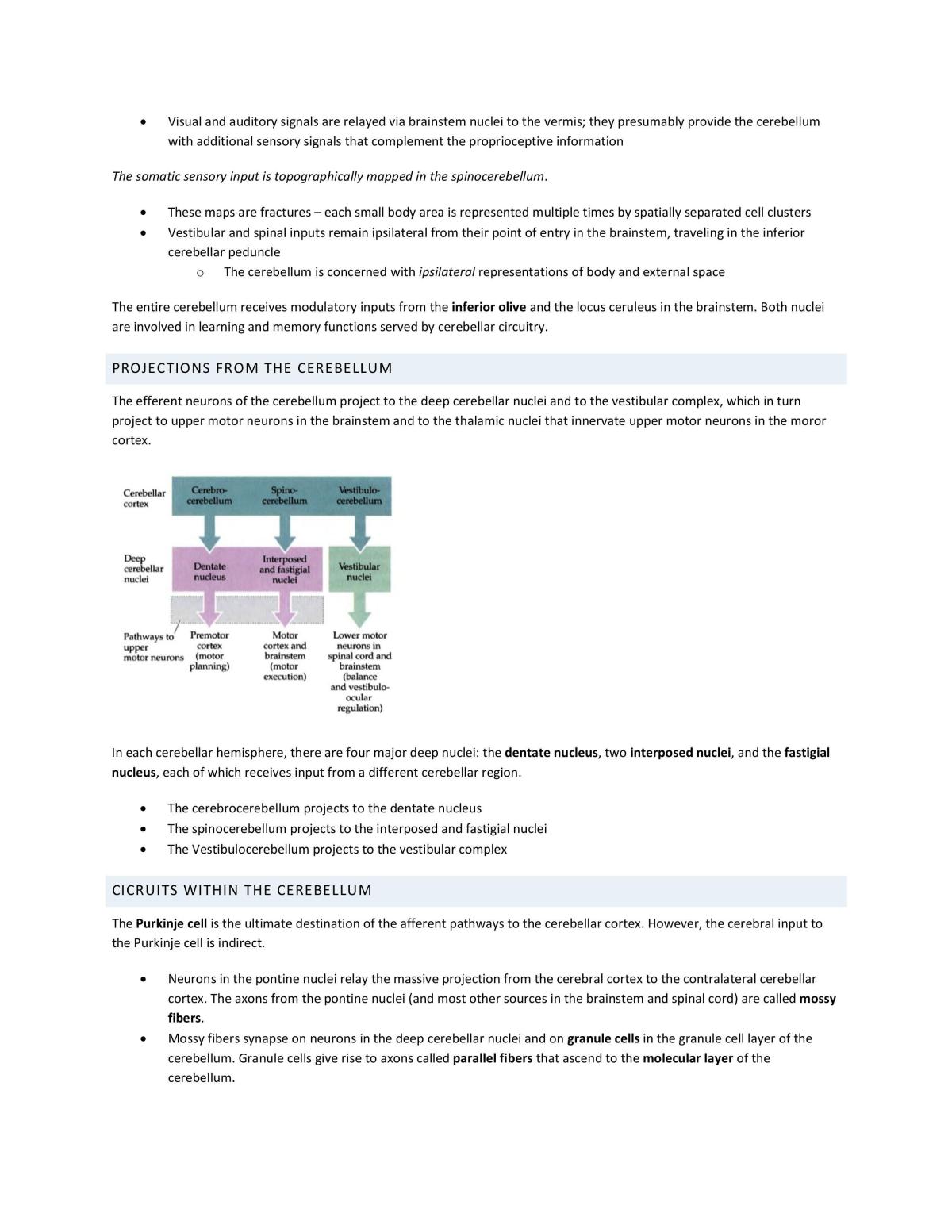 ANATCELL 3200 Notes - Page 25