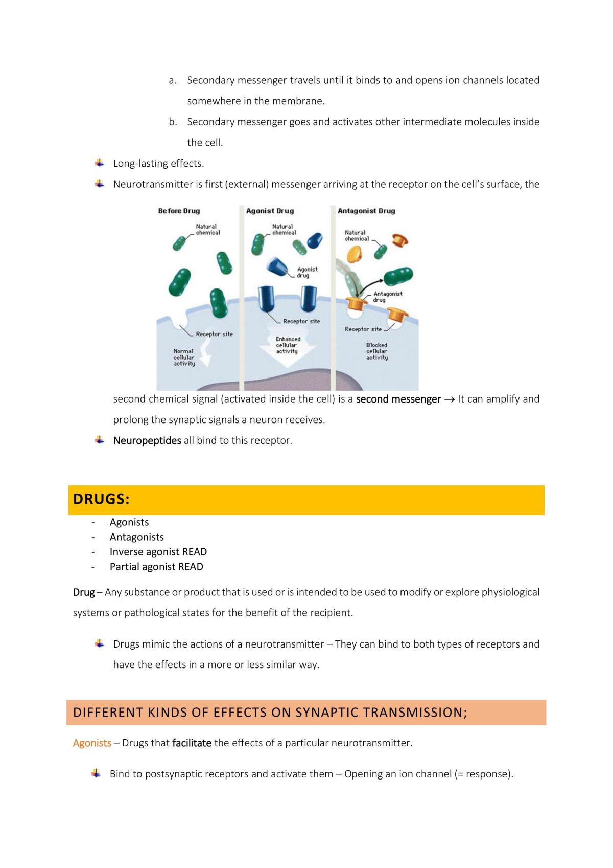 The Aging Mind - Complete Summary - Page 36