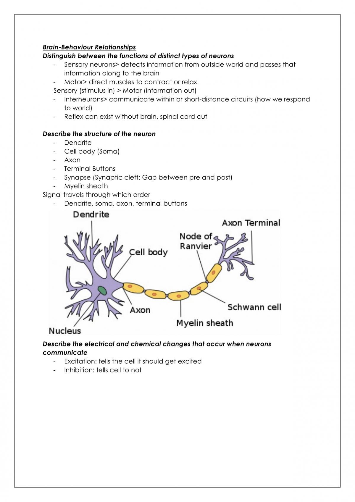 PSY1EFP Study Notes - Page 2