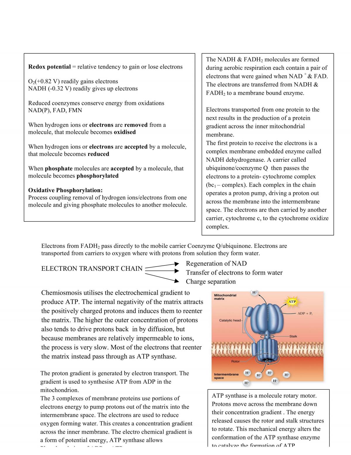 Summary Notes for 91320 - Page 32