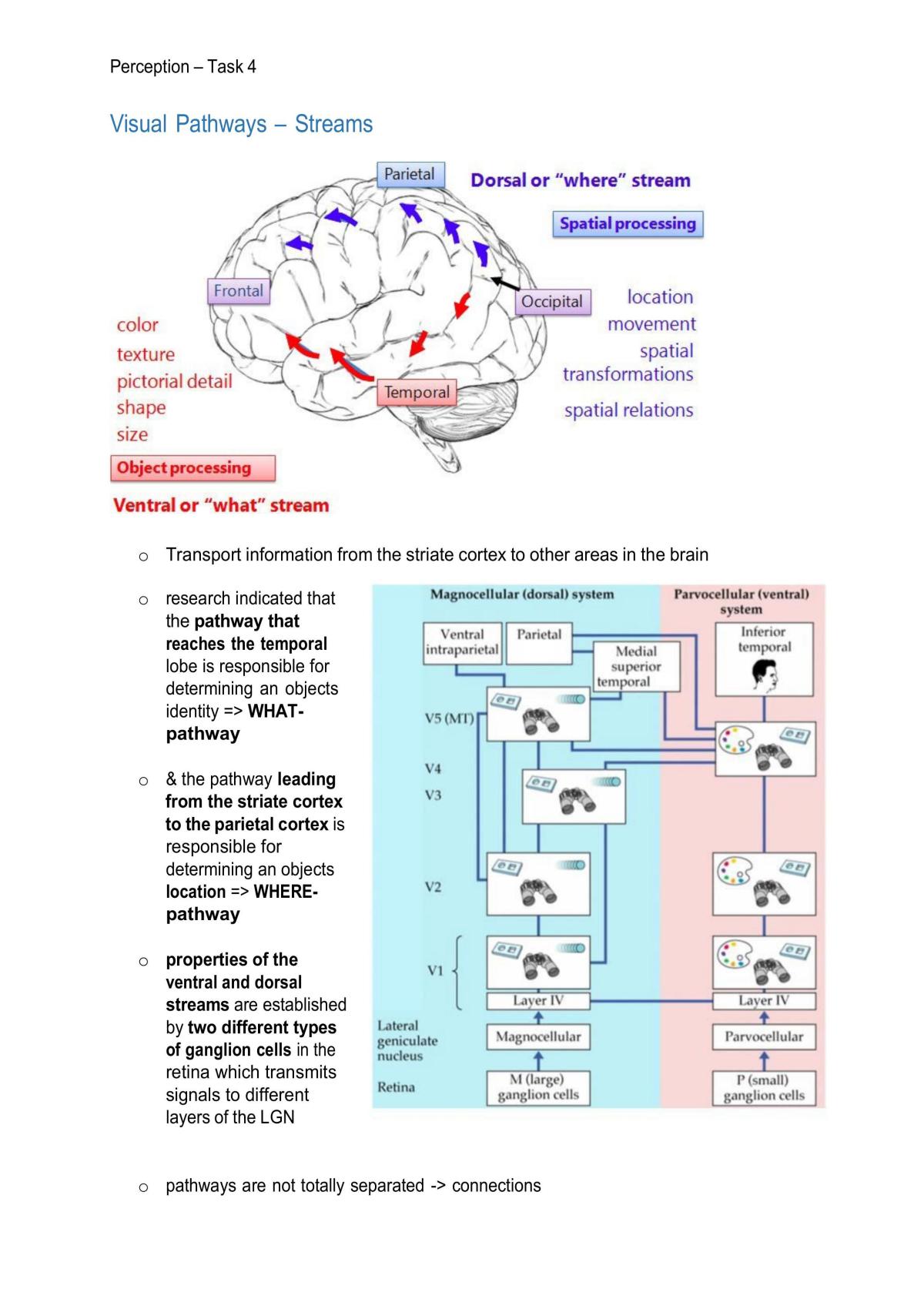 Person Perception Notes - Page 51