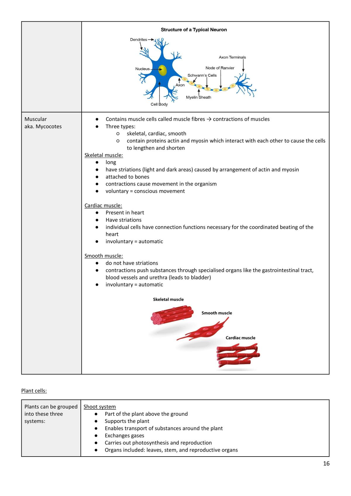 Completed Preliminary Biology Notes - Page 16