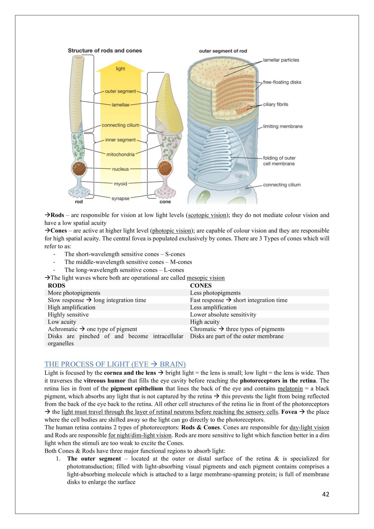 Neurobiology of Behaviour Summary - Page 42
