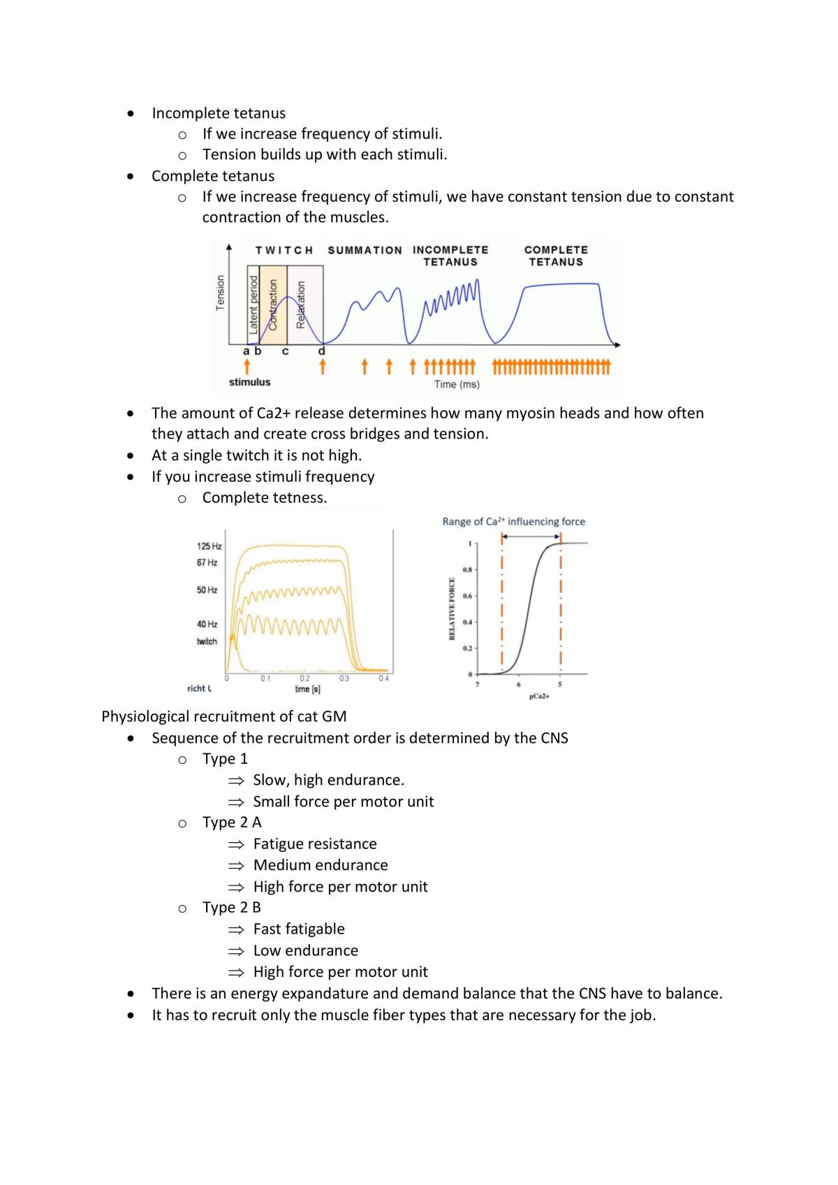 Neuroanatomy Summary - Page 47