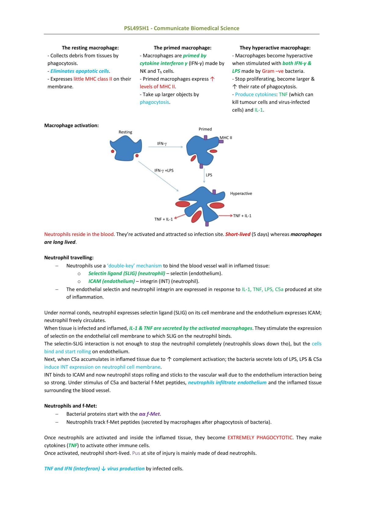 Communicate Biomedical Science Review - Page 36