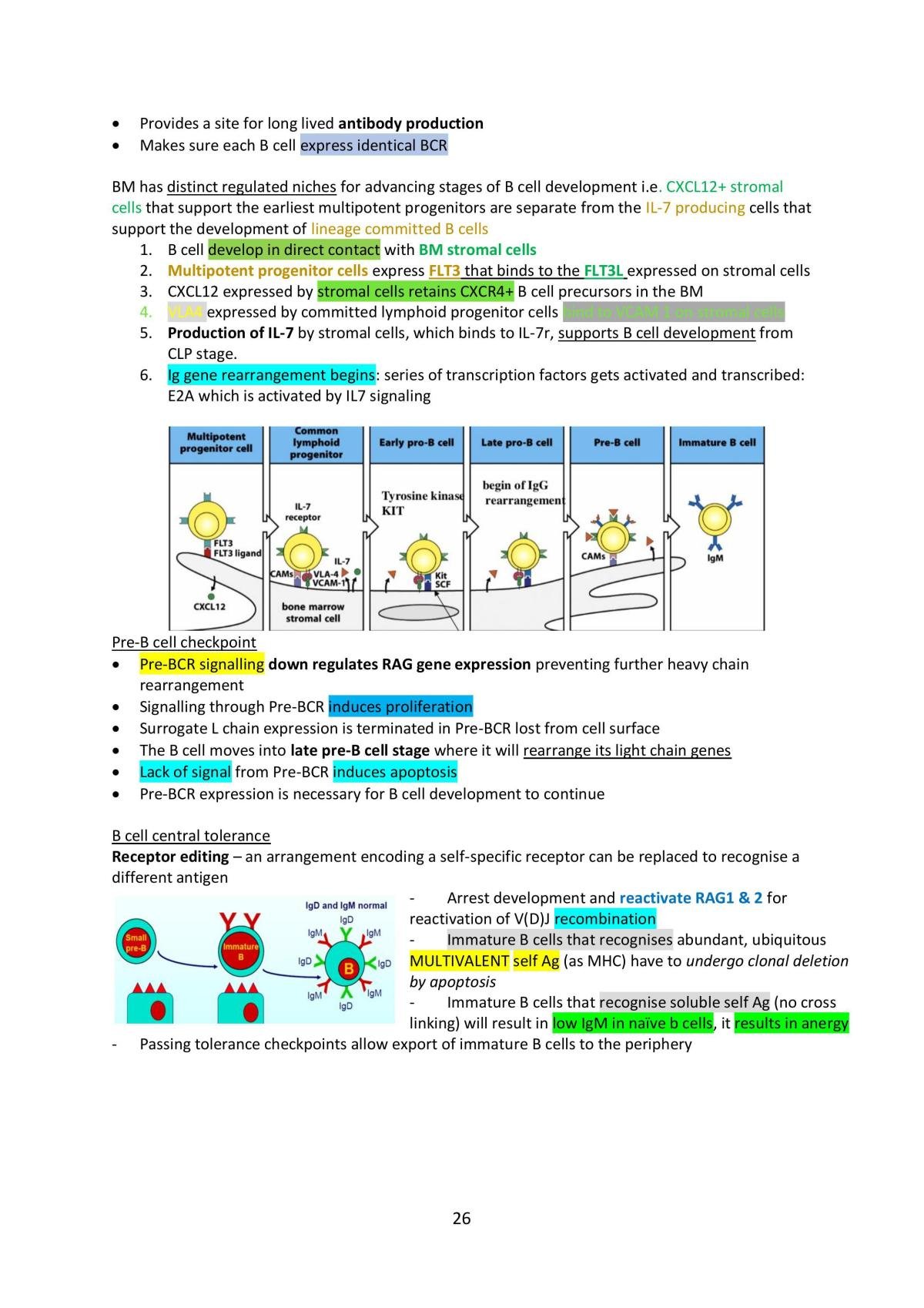 Highlighted summary notes - Page 26
