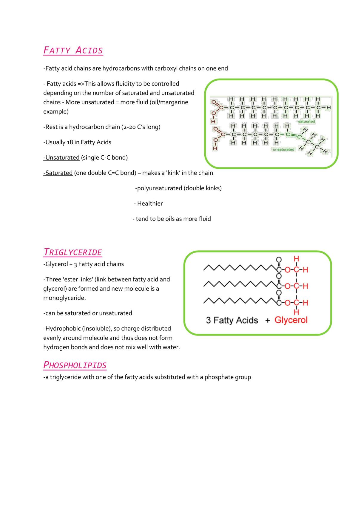 OCR AS Biology notes - Page 13