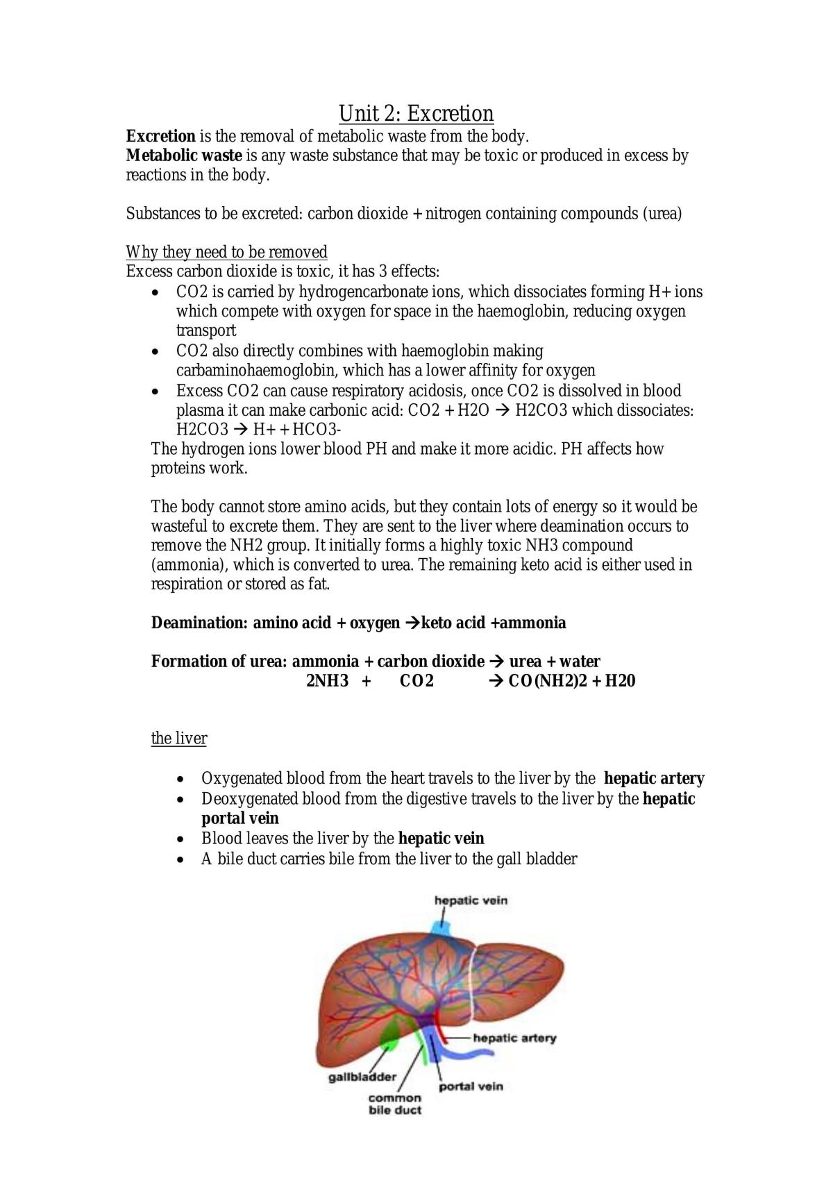 OCR A2/A-Level Biology notes  - Page 16