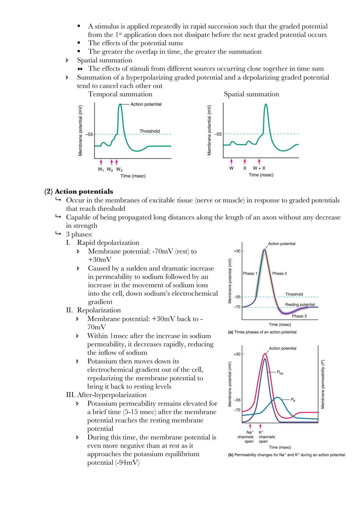 Physiology notes - Page 15
