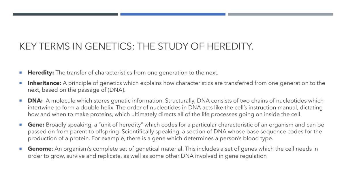 DNA and Proteins Notes  - Page 2