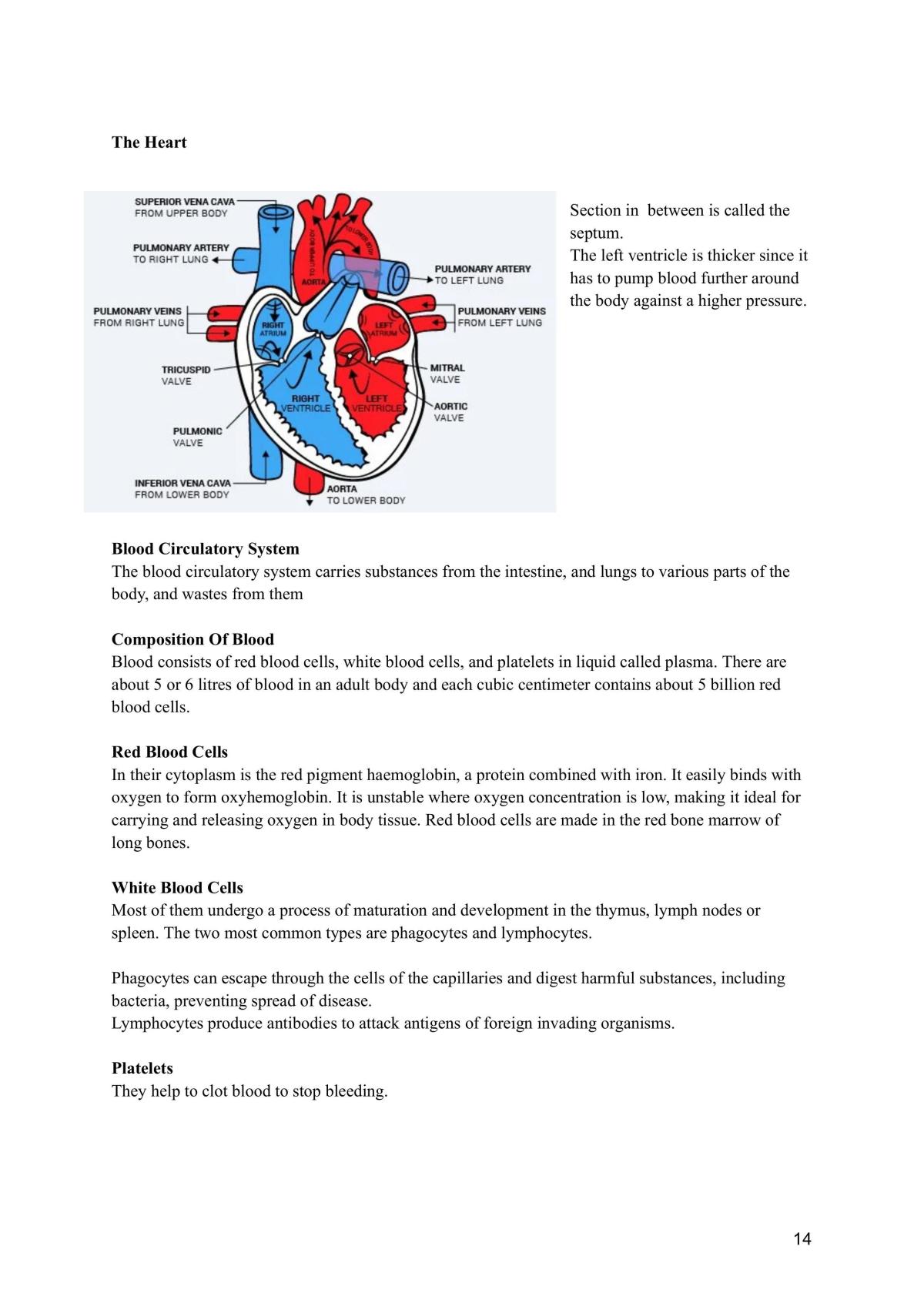 IGCSE Co-Ordinated Sciences  - Page 16