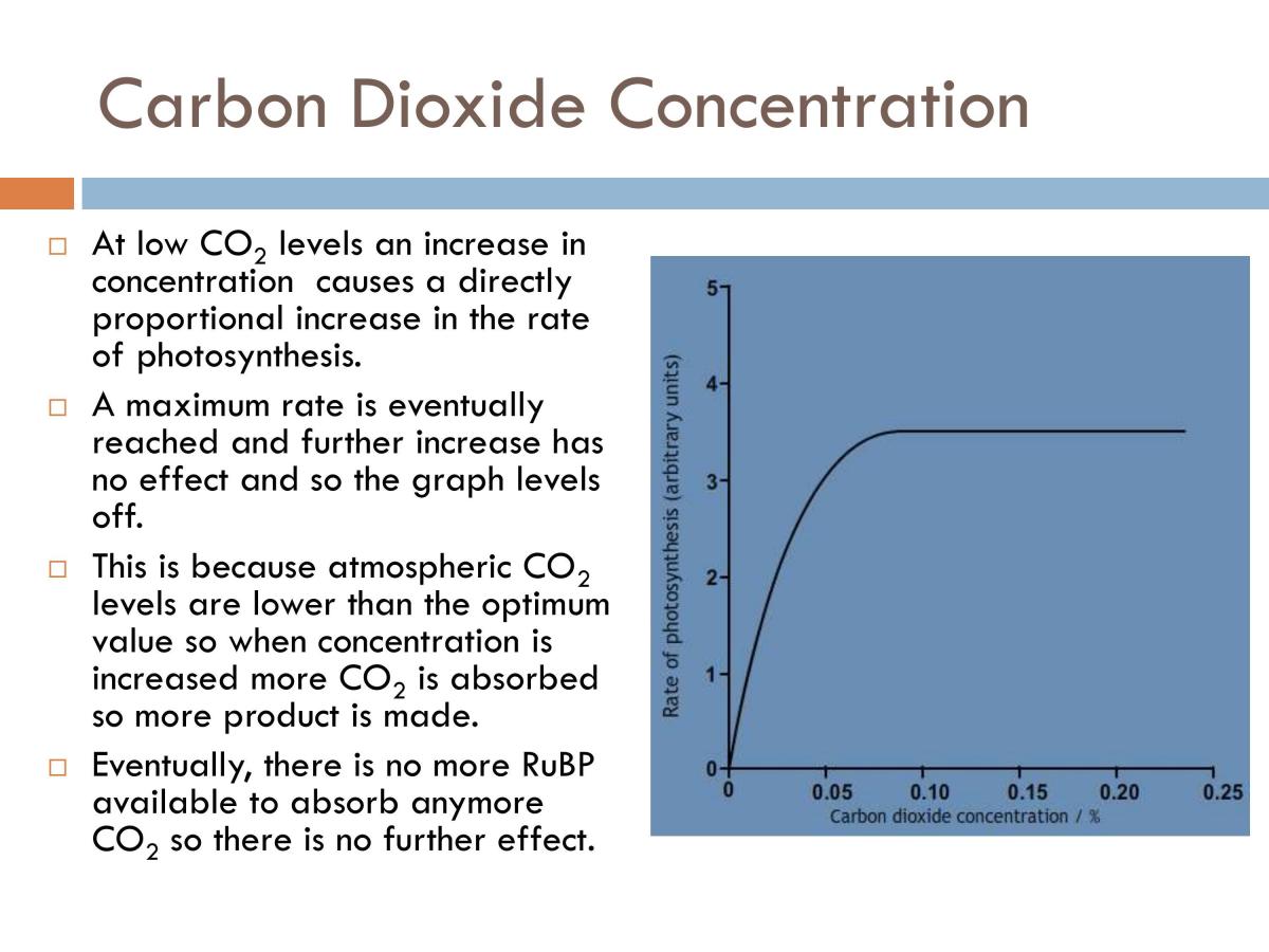 WJEC A2 Biology notes - Page 18