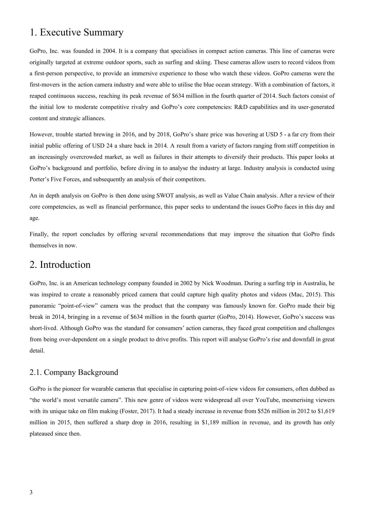 MT4002 Project GoPro Inc - Page 2